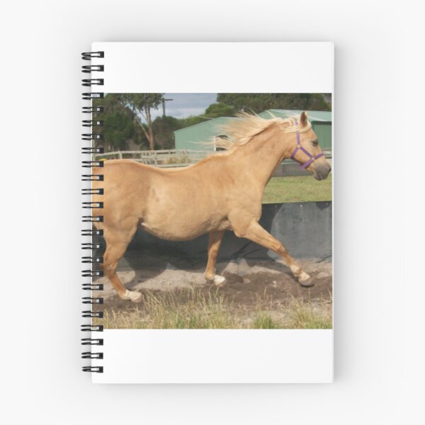 Item preview, Palomino horse cantering in a round yard designed and sold by EquusEducation.