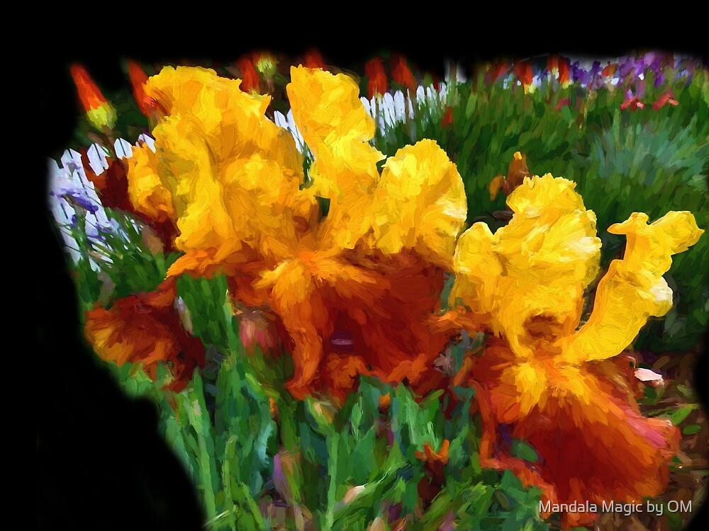 &ldquo;Painterly Orange Bearded iris Garden&rdquo; by Orchid Mandala | Redbubble