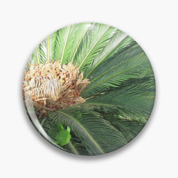 Item preview, ornamental palm  have brown head and green leaf from mamora  garden  designed and sold by sadeek1021953Ss.