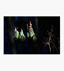 Twilight Fantacy Photographic Print