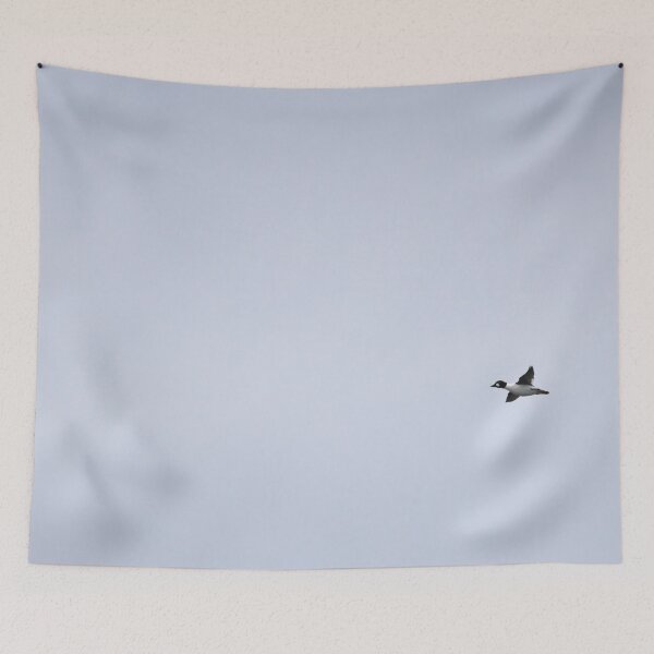 Item preview, Fly high. Common goldeneye designed and sold by Jouko Lehto Photography.