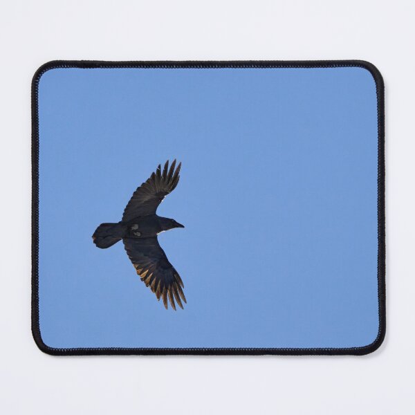 Item preview, Shadow in the sky. Common raven designed and sold by Jouko Lehto Photography.