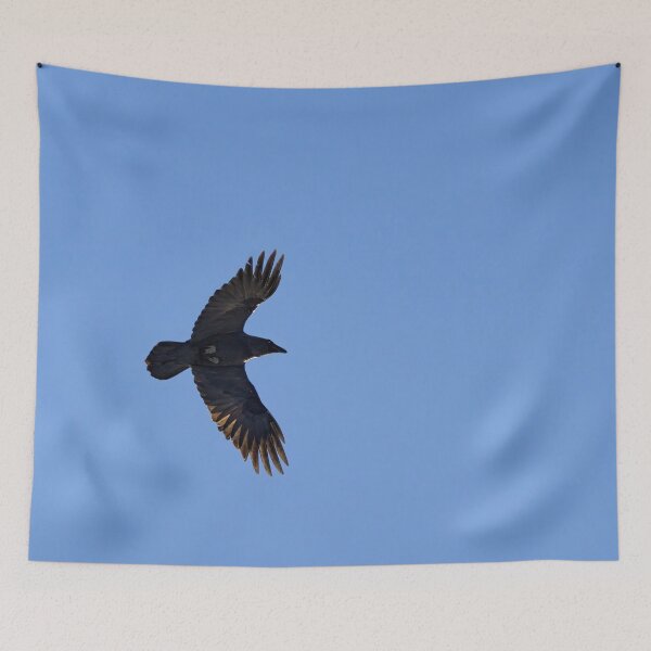Item preview, Shadow in the sky. Common raven designed and sold by Jouko Lehto Photography.