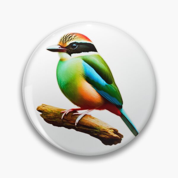 Item preview, Hooded Pitta Bird Vibrant and Beautiful Colours designed and sold by CritterManiaUK.