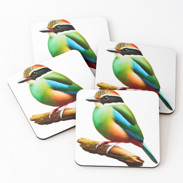 Item preview, Hooded Pitta Bird Vibrant and Beautiful Colours designed and sold by CritterManiaUK.