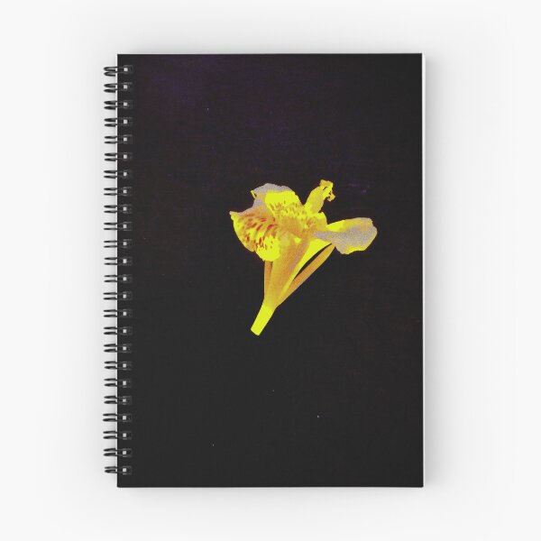 Item preview, Yellow flower  designed and sold by Natty Warkentin.