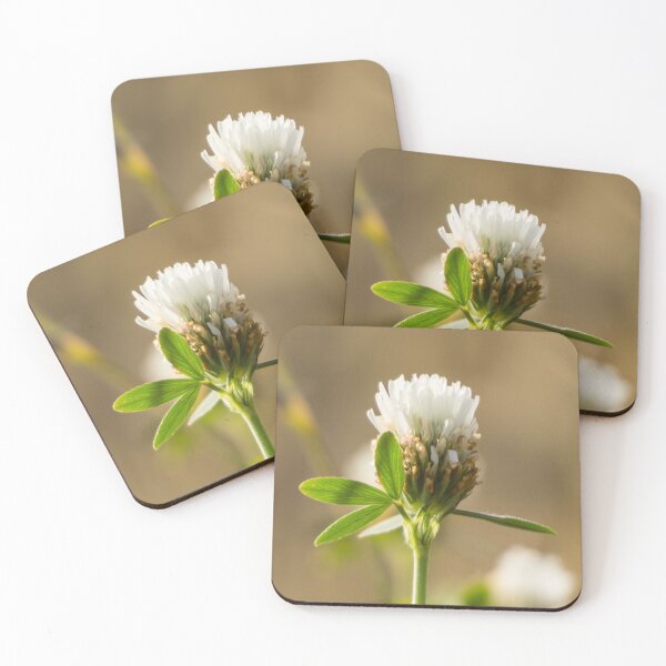 Item preview, Clover flower with white blossom designed and sold by StohlerPhotos.
