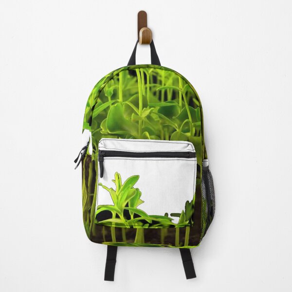 Item preview, Young green seedlings isolated on black background. Sprouts of sunflower. designed and sold by zambalala.