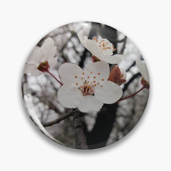 Item preview, Close up of Cherry plum with white blossoms 2 original artwork designed and sold by paragonDesign28.