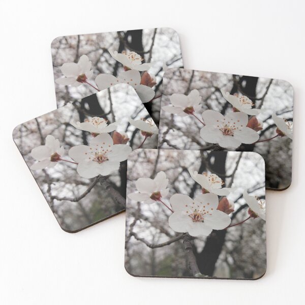 Item preview, Close up of Cherry plum with white blossoms 2 original artwork designed and sold by paragonDesign28.
