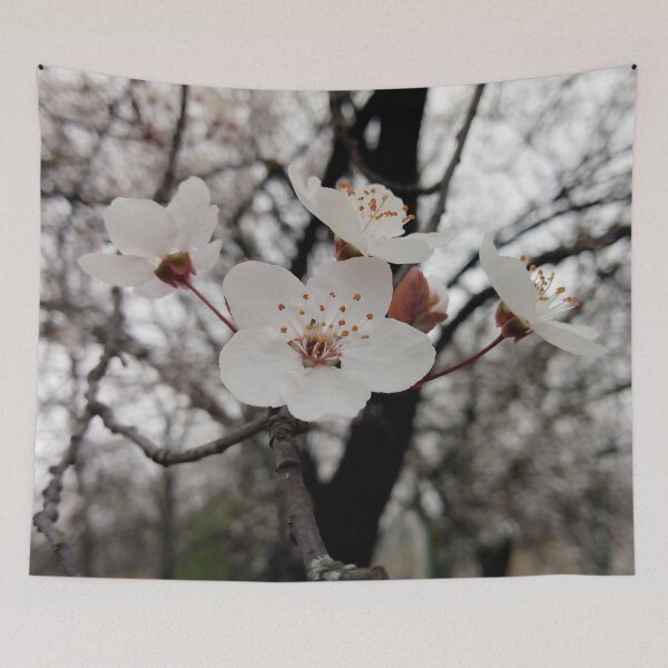 Item preview, Close up of Cherry plum with white blossoms 2 original artwork designed and sold by paragonDesign28.