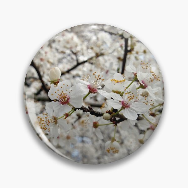 Item preview, Close up of Cherry plum with white blossoms 3 original artwork designed and sold by paragonDesign28.
