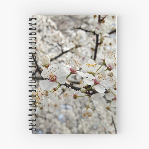 Item preview, Close up of Cherry plum with white blossoms 3 original artwork designed and sold by paragonDesign28.