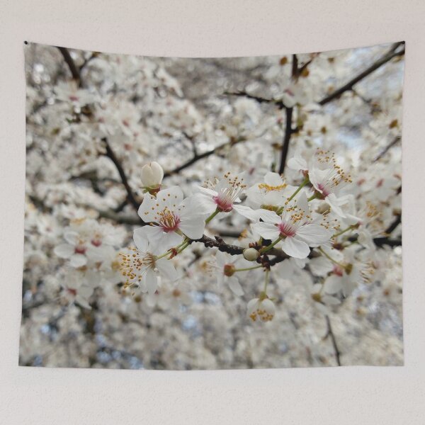 Item preview, Close up of Cherry plum with white blossoms 3 original artwork designed and sold by paragonDesign28.