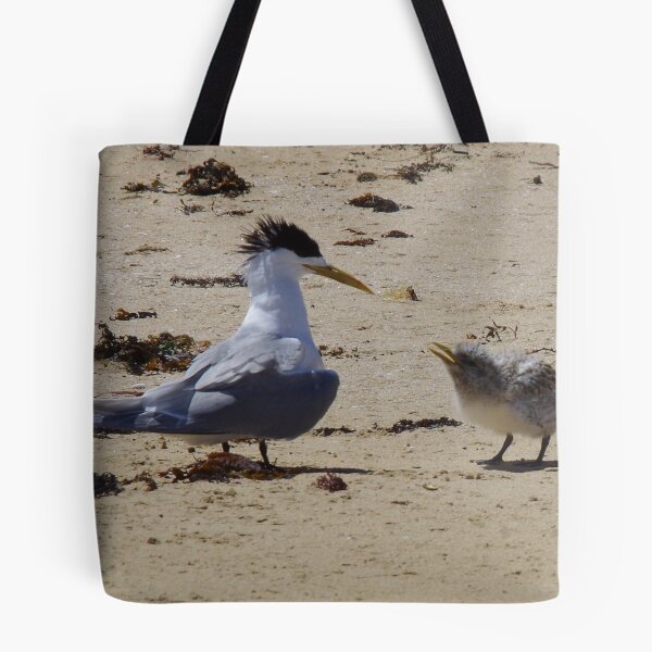 Item preview, Greater Crested Tern and Chick designed and sold by lezvee.
