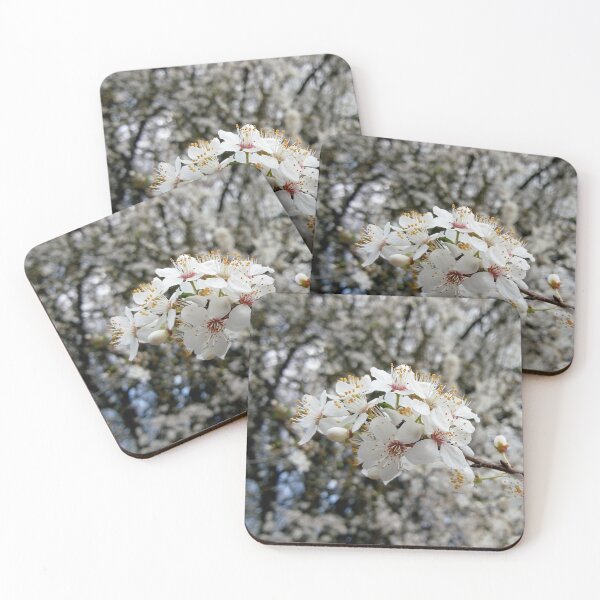 Item preview, Close up of Cherry plum with white blossoms 4 original artwork designed and sold by paragonDesign28.