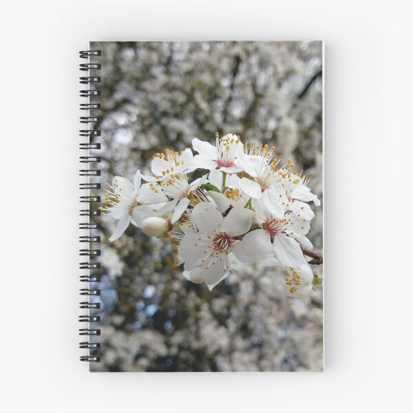 Item preview, Close up of Cherry plum with white blossoms 4 original artwork designed and sold by paragonDesign28.