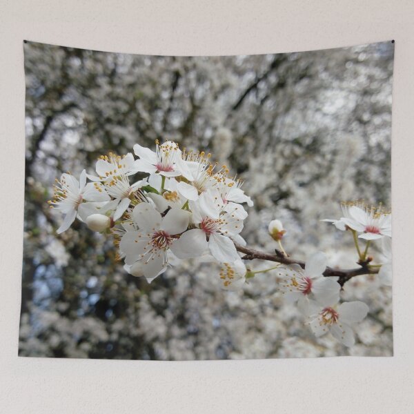 Item preview, Close up of Cherry plum with white blossoms 4 original artwork designed and sold by paragonDesign28.