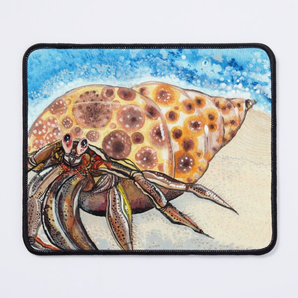 Item preview, Hermit Crab designed and sold by ArtByBeatriz.