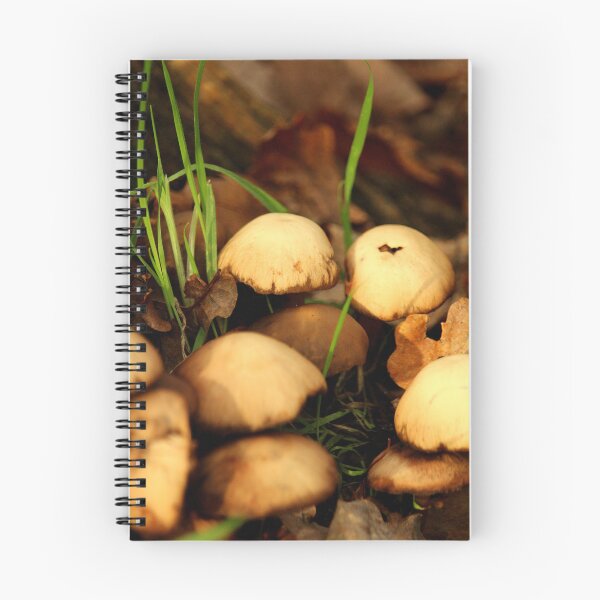 Artikelvorschau, Wilder Pilz entworfen und verkauft von GreySkiesStudio.