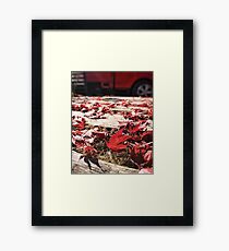 Maple Fields Framed Print