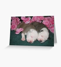 New Life Greeting Card
