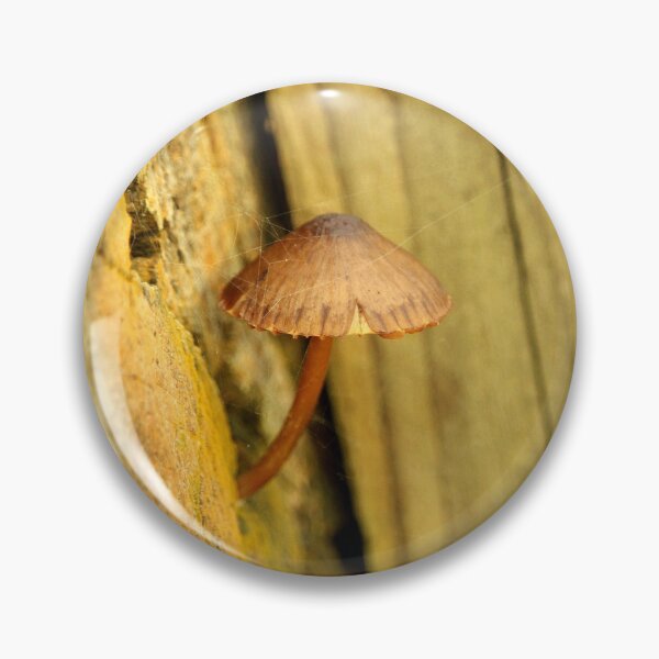 Aperçu de l'œuvre Champignon sauvage 2 créée et vendue par GreySkiesStudio.