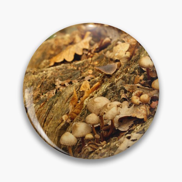 Aperçu de l'œuvre Grappe de champignons sauvages créée et vendue par GreySkiesStudio.
