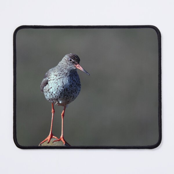 Item preview, Redshank designed and sold by Tom McPherson Photography.