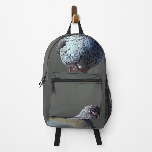 Item preview, Redshank designed and sold by Tom McPherson Photography.