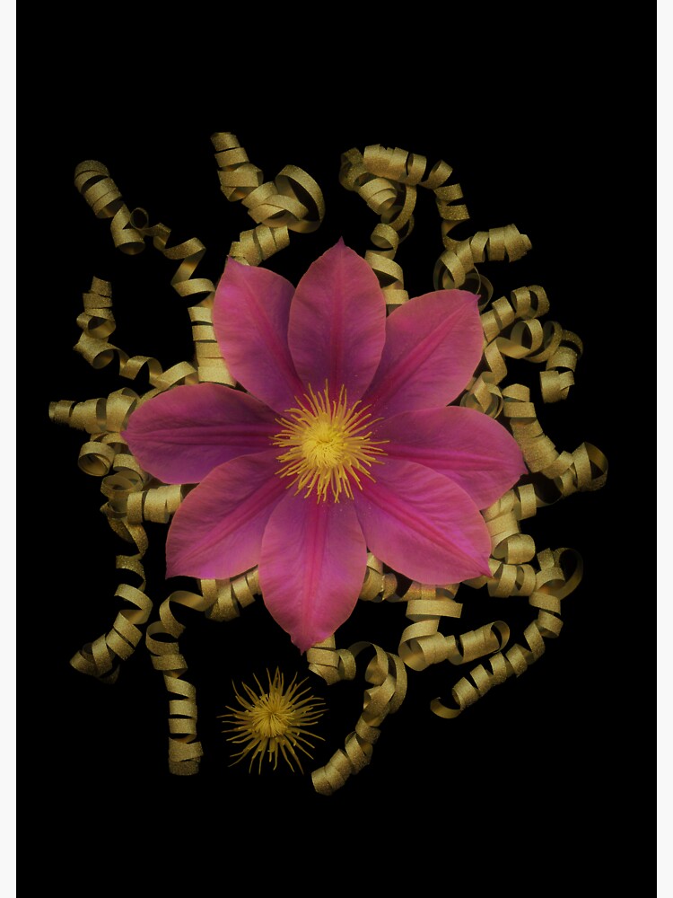 Thumbnail 3 of 3, Sticker, Celestial Clematis Dark Floral designed and sold by LindasPhotoArt.