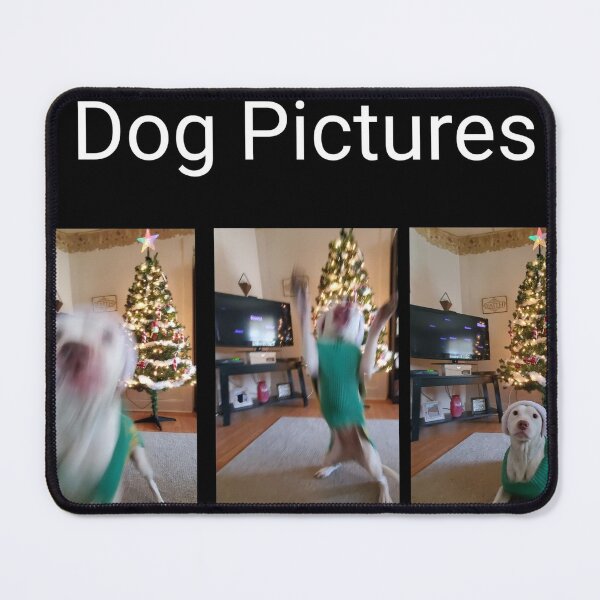 Item preview, Dog pictures designed and sold by YHWH Photography.