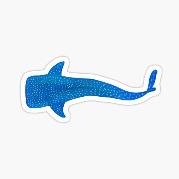 Whale shark Drawing Sticker