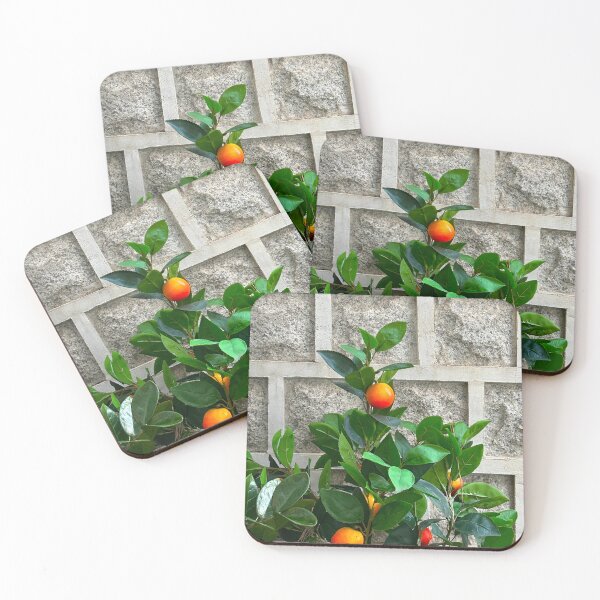 Item preview, Fruit Bush Against a Korean Stone Wall | Beautiful Plant Photography designed and sold by YemmyZImages.