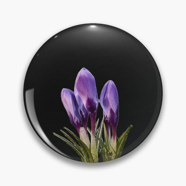 Item preview, Spring flowers designed and sold by ThomasFoto.
