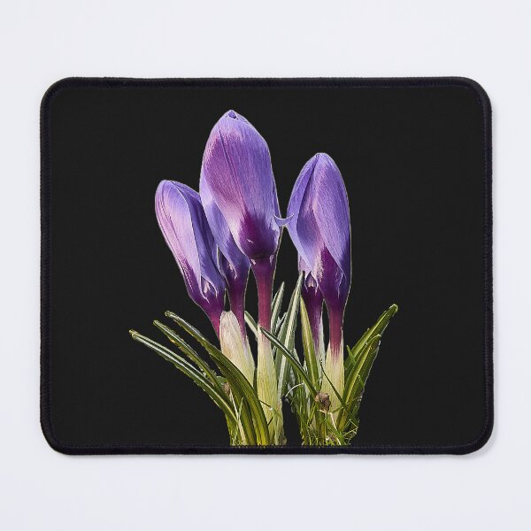 Item preview, Spring flowers designed and sold by ThomasFoto.