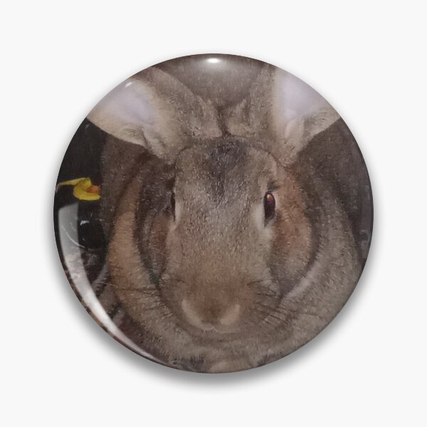 Item preview,  Bunny living life  designed and sold by Dannygirl24.