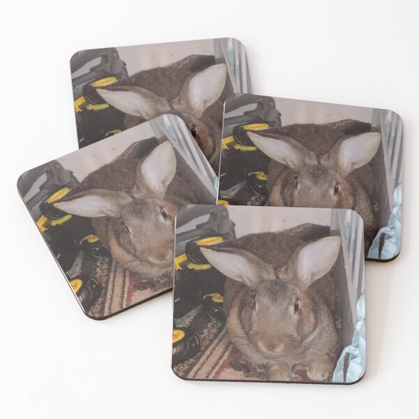 Item preview,  Bunny living life  designed and sold by Dannygirl24.