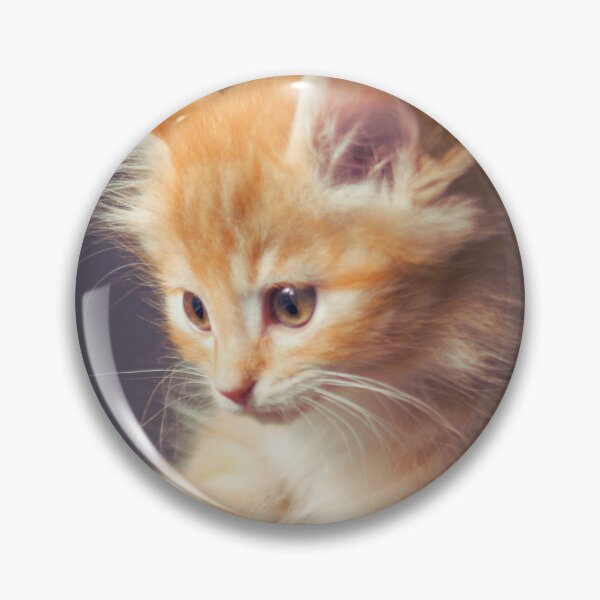 Item preview, Little cat in the hands designed and sold by LiM-Team.
