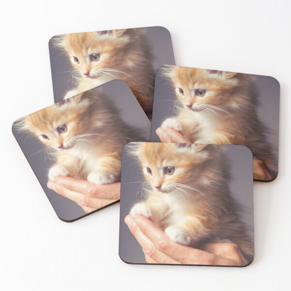 Item preview, Little cat in the hands designed and sold by LiM-Team.