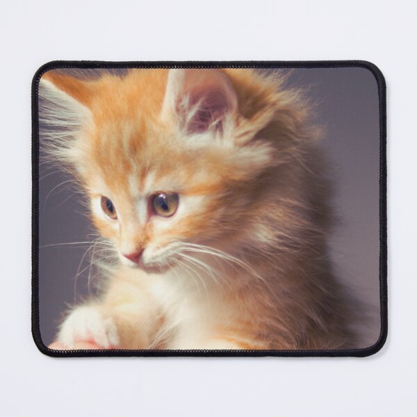 Item preview, Little cat in the hands designed and sold by LiM-Team.