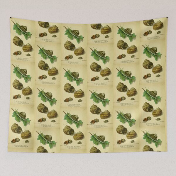 Item preview, Vintage print of British edible snails designed and sold by stevepaint.