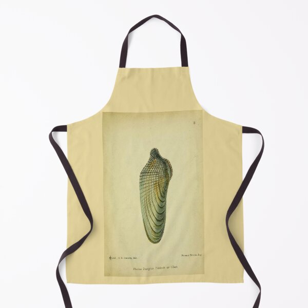 Item preview, Vintage print of a British a Pidock,or pholas dactylus shell designed and sold by stevepaint.