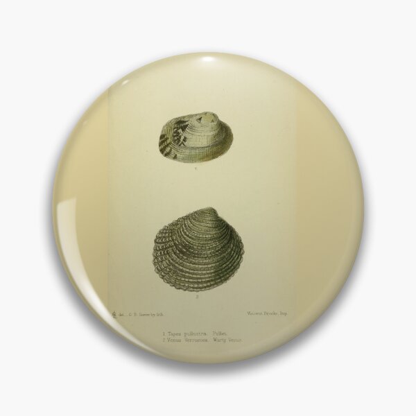Item preview, Vintage print of British shells designed and sold by stevepaint.