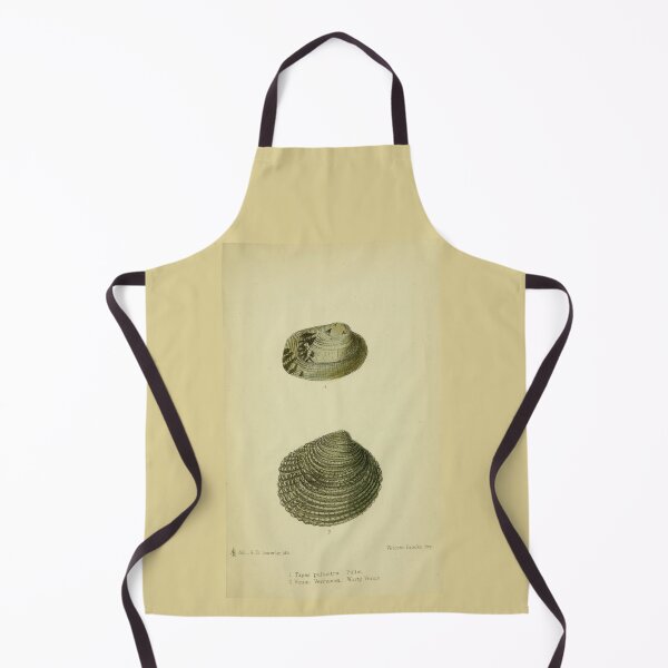 Item preview, Vintage print of British shells designed and sold by stevepaint.