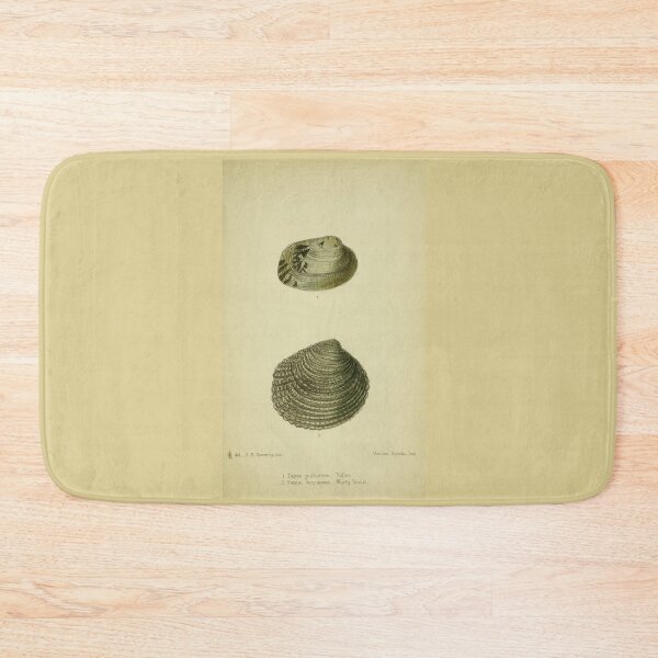 Item preview, Vintage print of British shells designed and sold by stevepaint.