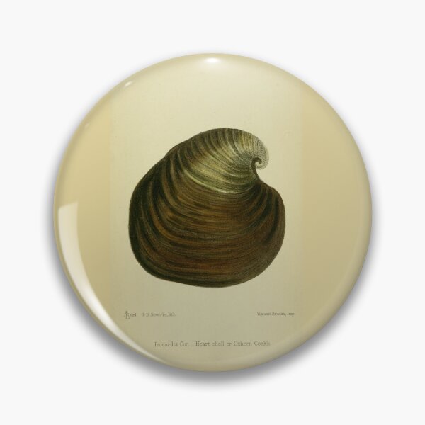 Item preview, Vintage print of a British shell designed and sold by stevepaint.