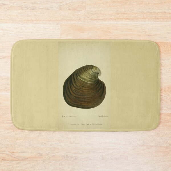 Item preview, Vintage print of a British shell designed and sold by stevepaint.