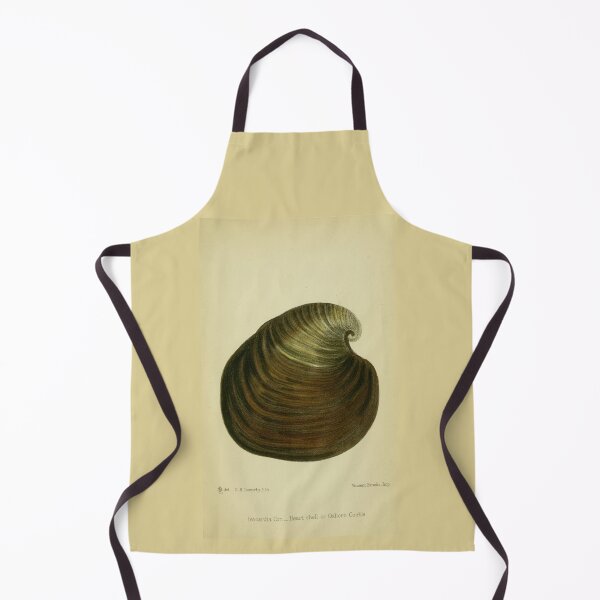 Item preview, Vintage print of a British shell designed and sold by stevepaint.