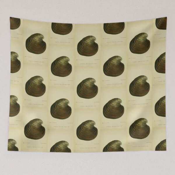 Item preview, Vintage print of a British shell designed and sold by stevepaint.